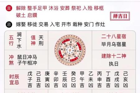 探索今日属相：从日历看你的生肖运势