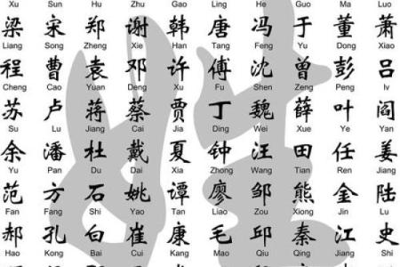 进字的五行属性解析与命理影响