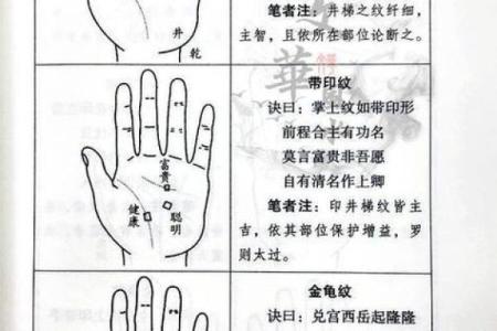 面相分析法：如何根据脸部线条看出人生走向