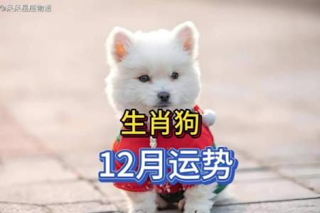 属狗人今日运势：事业有进展，情感生活要保持耐心