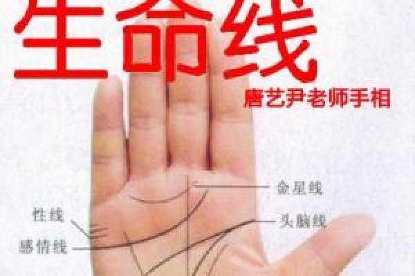 刘强东手相揭秘：成功与挑战的手部线索