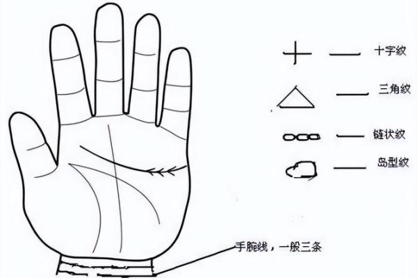 刘强东手相揭秘：成功与挑战的手部线索