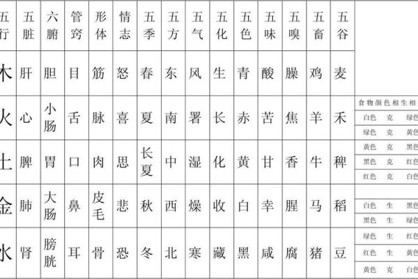 元五行属性的深层解析与实际应用