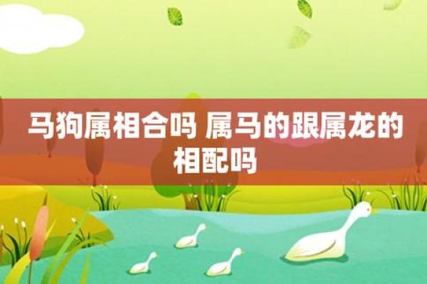 生肖龙男与马女婚姻相处的最佳方式