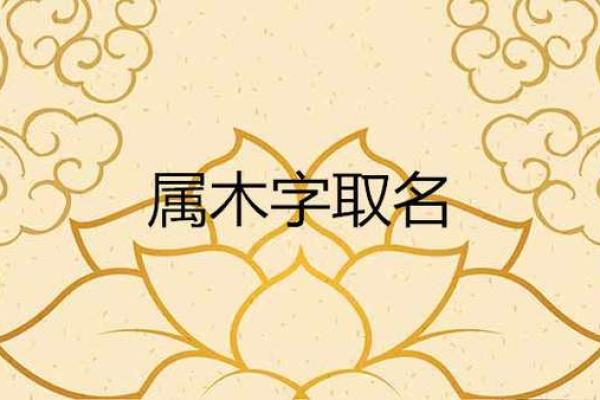 露字五行属性解析及其对命理的影响