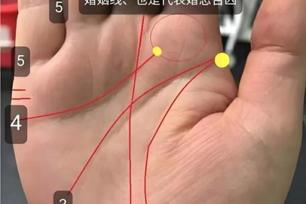 手相解读：不同年龄的手纹变化与人生轨迹