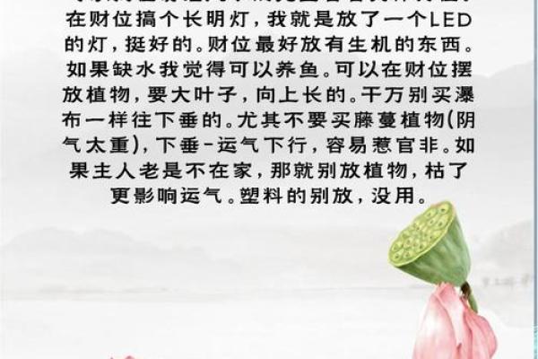 风水财位风水调整技巧
