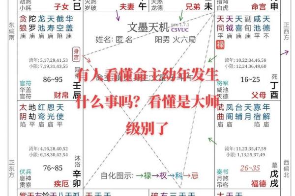紫薇斗数与八字预测对比分析