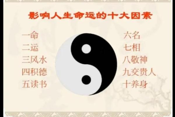 揭秘生人的命运特征：命运的影响与个性解读