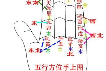 家五行属性解析与家庭风水调理建议