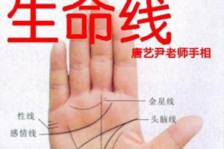 刘强东手相揭秘：成功与挑战的手部线索