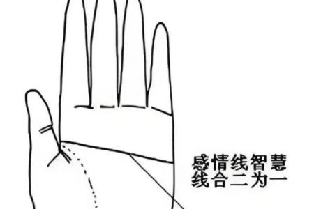 手相双断掌的秘密解析：如何通过掌纹看透人生走向