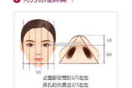 揭秘鼻翼宽面相的性格特征与命运走向