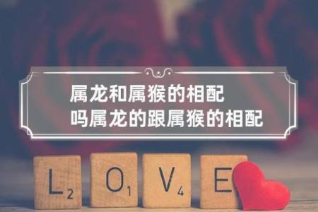 生肖龙男与马女婚姻相处的最佳方式