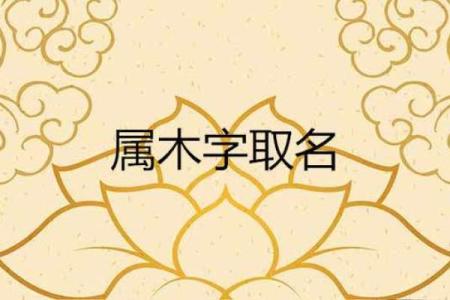 露字五行属性解析及其对命理的影响