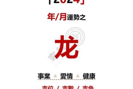 属龙人今日运势概述：稳中求进，宜谨慎应对