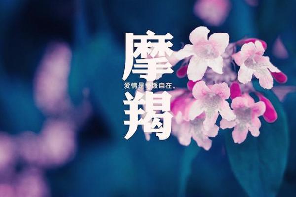 摩羯座今日运势解析：工作与感情双双突破的机遇