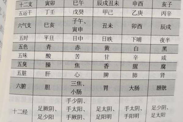 成五行属性的含义与分析方法详解