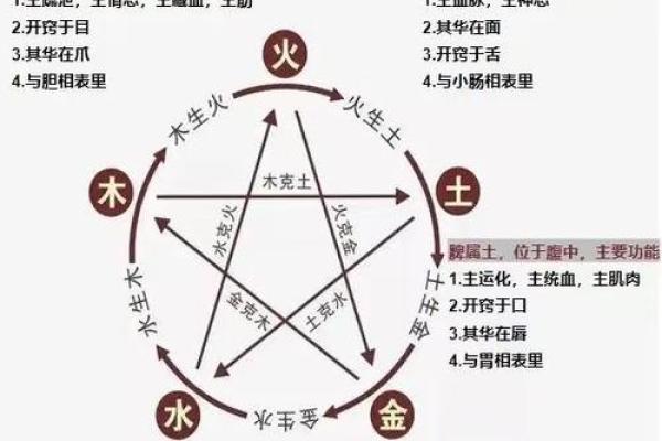 探索文字五行的奥秘与应用技巧