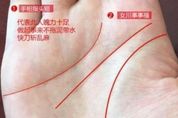 梦到别人给我看手相的寓意与解析