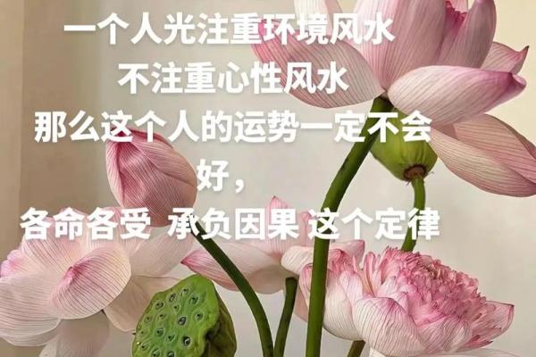 命理学视角下的朝向对个人运势的影响