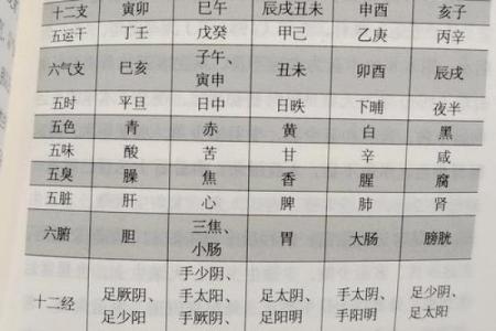 成五行属性的含义与分析方法详解