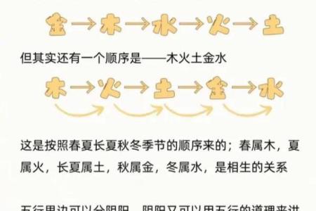 探索文字五行的奥秘与应用技巧