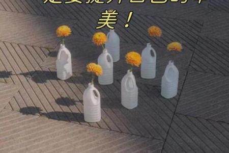 生命中的最佳命运：天赋与努力的平衡