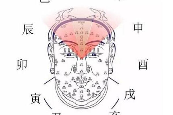 快速了解八字命理，八字计算器在线查询助你一探究竟