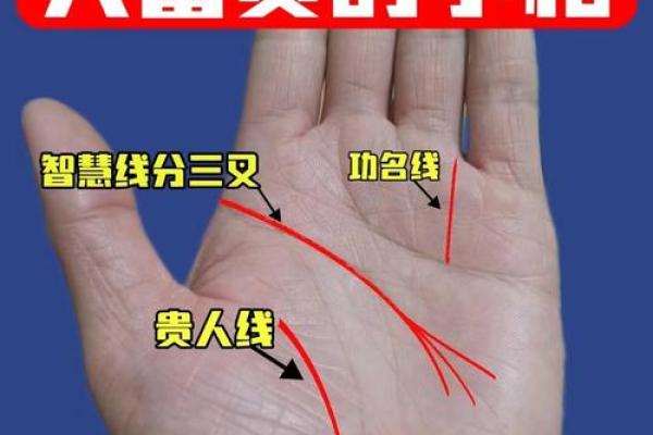 探索大富贵手相的秘密，财富未来一目了然