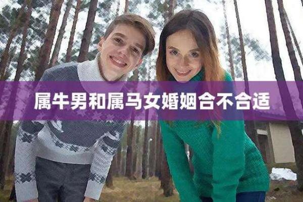 男羊女马婚姻生活：相似与差异如何影响感情走向