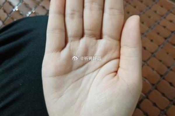 探索享福命手相，揭开未来财富与好运的秘密