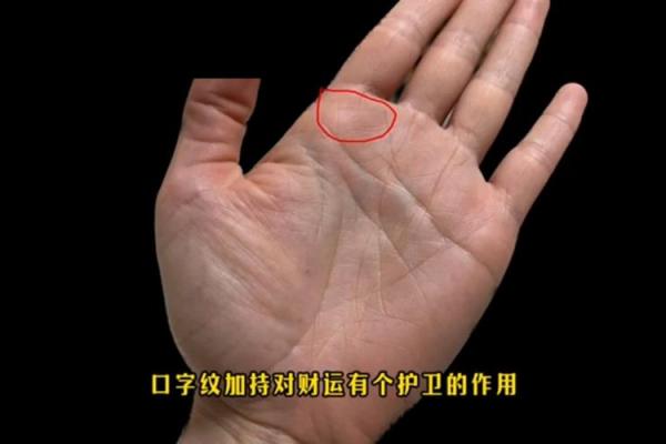 鹿晗的手相与运势：掌纹透露的未来潜力