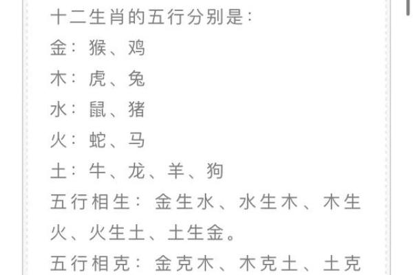 木猪命与五行之木的关系探讨