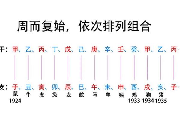 木猪命与五行之木的关系探讨