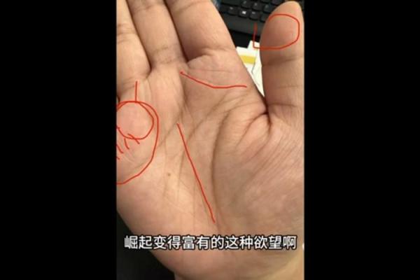 巨富手相揭秘：两条线如何决定财富命运