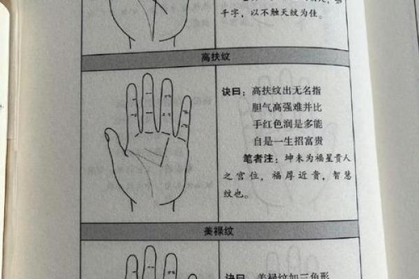 手相揭秘：如何通过手掌识别个人的运势