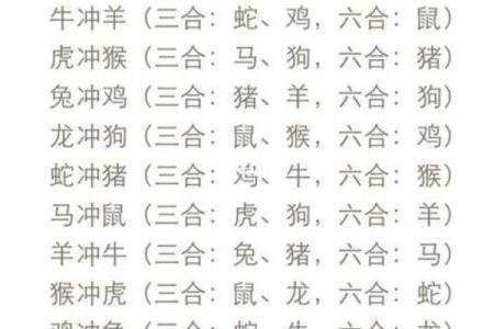 周公天干与生肖命运的巧妙联系