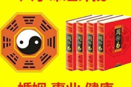 阴命阳命：命运背后的天赋与运势