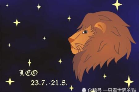 今日星座运势全解析：如何根据运势做出明智决策