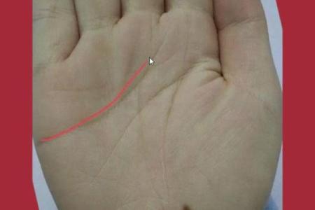 鹿晗的手相与运势：掌纹透露的未来潜力