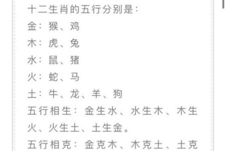 木猪命与五行之木的关系探讨