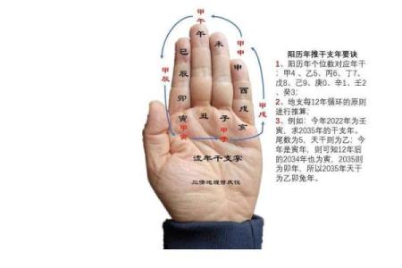 乙亥天干的五行特性与命理解析
