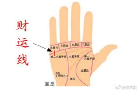 手相揭秘：如何通过手掌识别个人的运势
