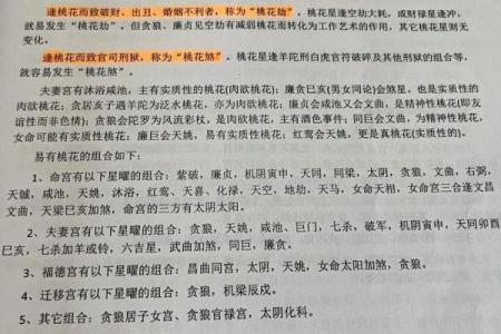 命理学视角下的桃花劫与感情运势