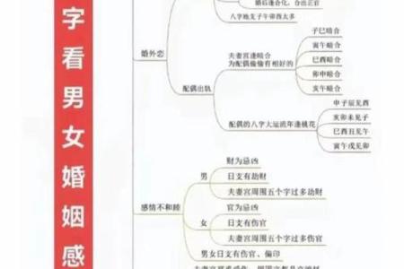 午命与其他命格的关系与区别