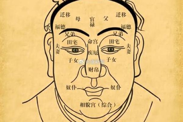 面相学入门：通过观察面部特征解读个性与运势