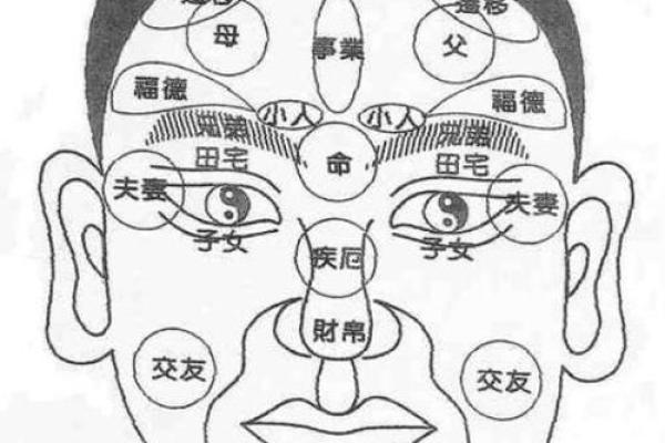 面相学入门：通过观察面部特征解读个性与运势