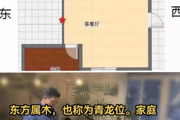 五行缺木的人命运如何改善与调和方法探讨