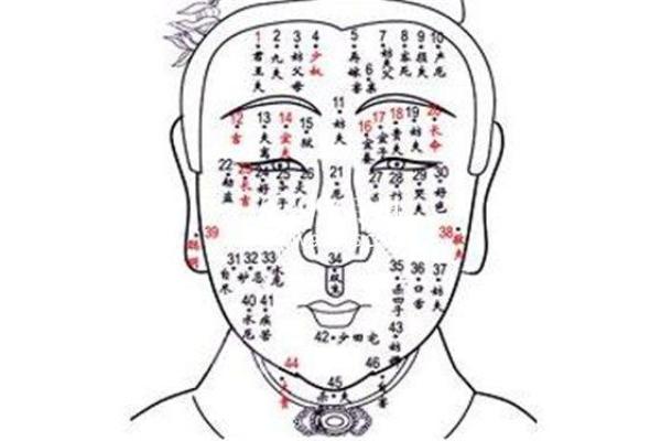 通过痣相了解自己：看清性格、事业与健康密码